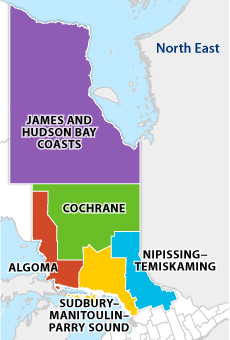Find Services Near Me